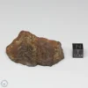 Dhofar 1289 Meteorite 40.3g