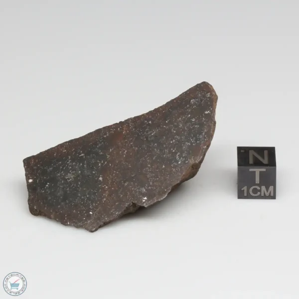 Dhofar 1289 Meteorite 40.3g