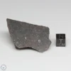 Dhofar 1289 Meteorite 39.3g