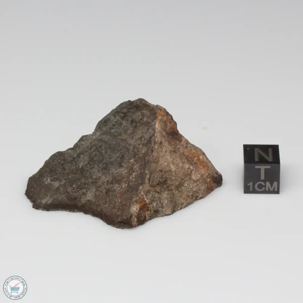 Dhofar 1289 Meteorite 39.3g