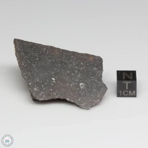 Dhofar 1289 Meteorite 39.3g