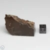 Dhofar 1289 Meteorite 46.5g