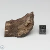 Dhofar 1289 Meteorite 46.5g