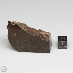 Dhofar 1289 Meteorite 46.5g