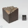 Dhofar 1289 Meteorite 80.0g