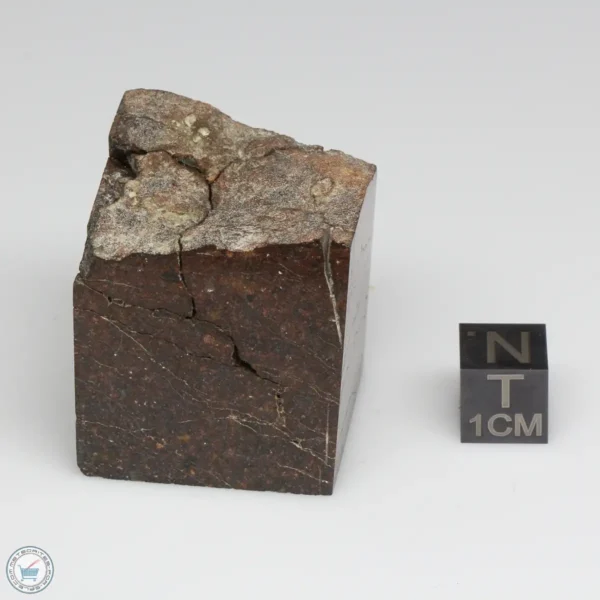 Dhofar 1289 Meteorite 80.0g