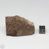 Dhofar 1289 Meteorite 60.7g