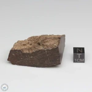 Dhofar 1289 Meteorite 60.7g