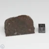 Dhofar 1289 Meteorite 59.6g