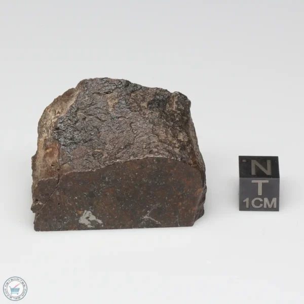 Dhofar 1289 Meteorite 59.6g