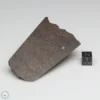 Dhofar 1289 Meteorite 101.4g