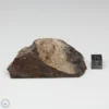 Dhofar 1289 Meteorite 101.4g