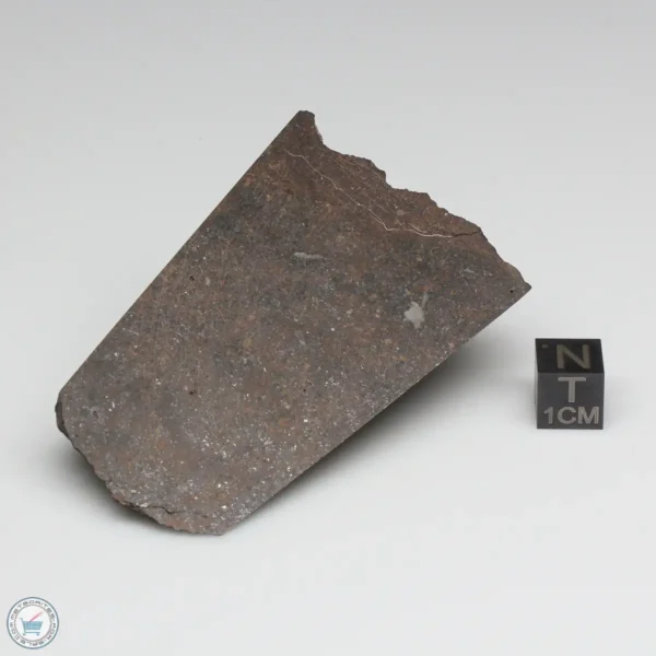 Dhofar 1289 Meteorite 101.4g