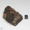 Dhofar 1289 Meteorite 198.3g