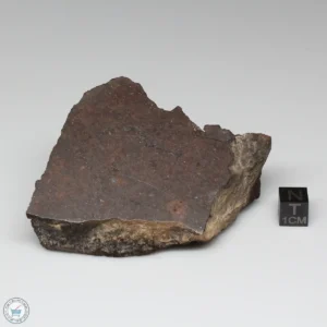 Dhofar 1289 Meteorite 198.3g