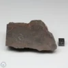 Dhofar 1289 Meteorite 202.0g