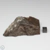 Dhofar 1289 Meteorite 202.0g