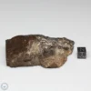 Dhofar 1289 Meteorite 202.0g