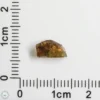 Fukang Pallasite Meteorite 0.23g Olivine Crystal