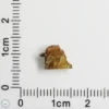 Fukang Pallasite Meteorite 0.27g Olivine Crystal