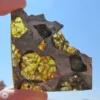 Fukang Pallasite Meteorite 20.5g