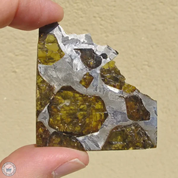 Fukang Pallasite Meteorite 20.5g