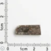 Laâyoune 002 Lunar Meteorite 1.33g