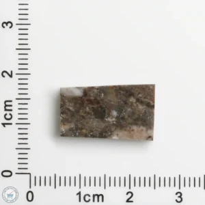 Laâyoune 002 Lunar Meteorite 1.88g