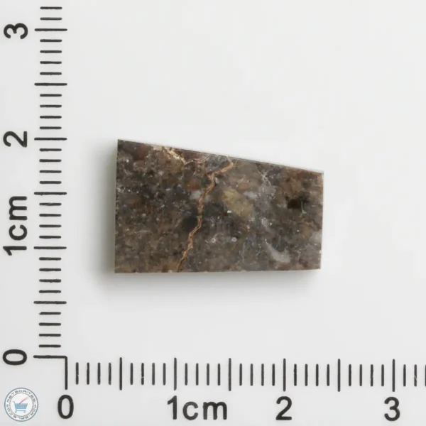 Laâyoune 002 Lunar Meteorite 1.94g