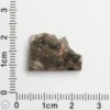 Laâyoune 002 Lunar Meteorite 1.79g