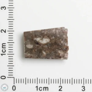 Laâyoune 002 Lunar Meteorite 2.24g