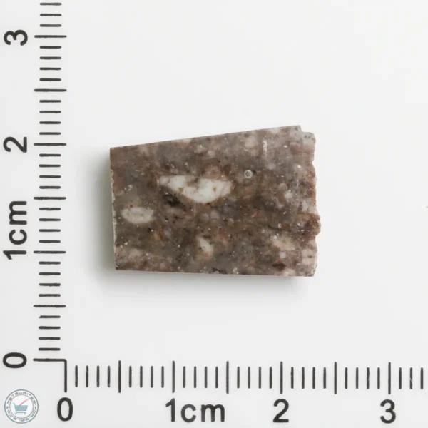 Laâyoune 002 Lunar Meteorite 2.24g