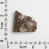 Laâyoune 002 Lunar Meteorite 1.94g