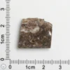 Laâyoune 002 Lunar Meteorite 2.52g