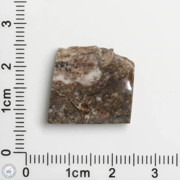 Laâyoune 002 Lunar Meteorite 2.52g