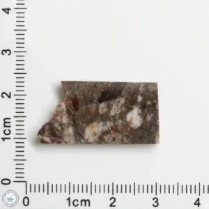 Laâyoune 002 Lunar Meteorite 3.19g