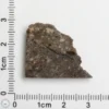 Laâyoune 002 Lunar Meteorite 2.93g