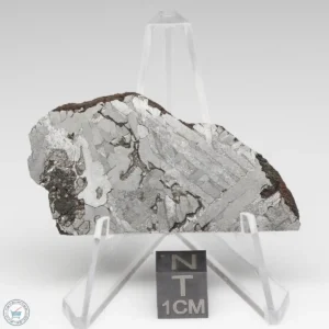 Toluca Meteorite 20.1g