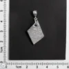 Muonionalusta Meteorite Jewelry Pendant 4.1g