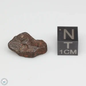 Agoudal Meteorite 4.5g