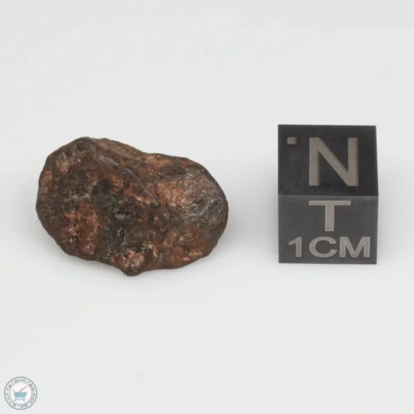 Agoudal Meteorite 7.4g