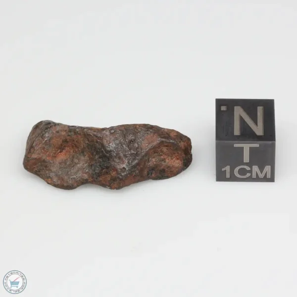 Agoudal Meteorite 8.1g