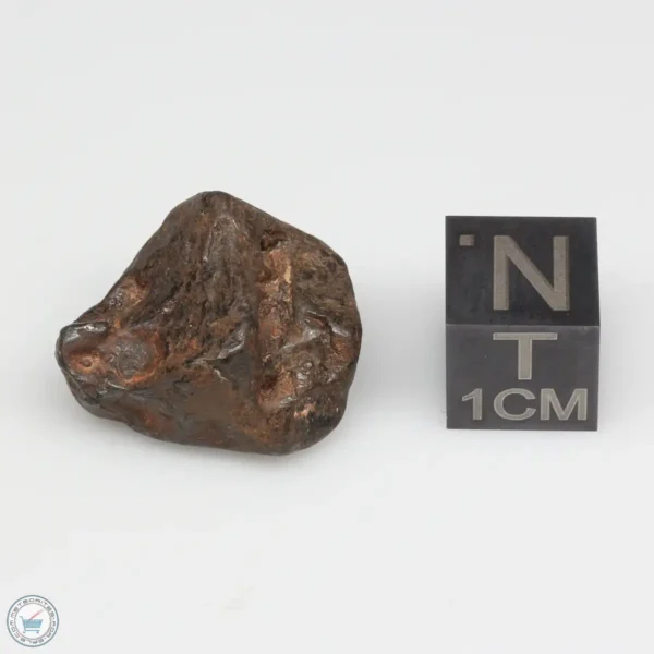 Agoudal Meteorite 11.5g