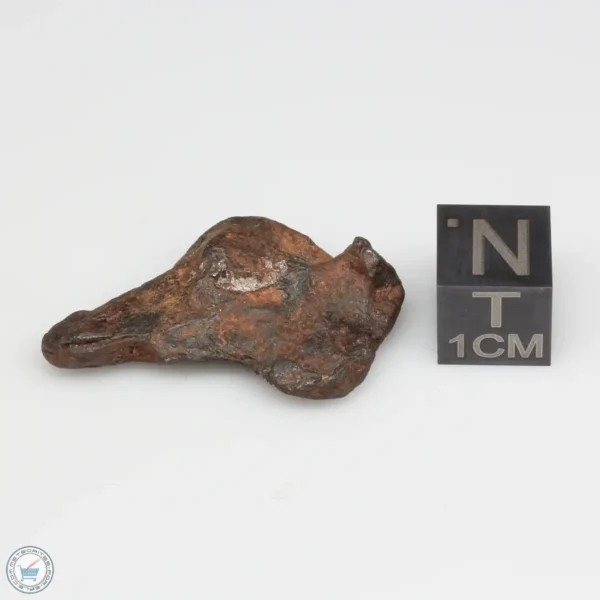 Agoudal Meteorite 8.9g