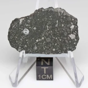 Allende Meteorite