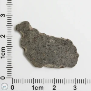 Amgala 001 Martian Meteorite 1.34g