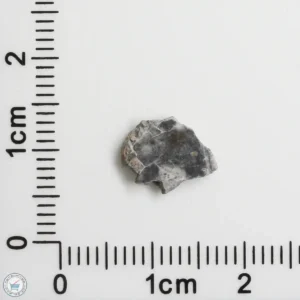 Bechar 003 Lunar Meteorite 0.28g