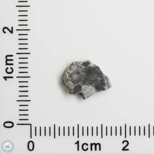 Bechar 003 Lunar Meteorite 0.28g