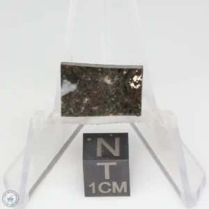 NWA 14041 Lunar Meteorite 1.85g