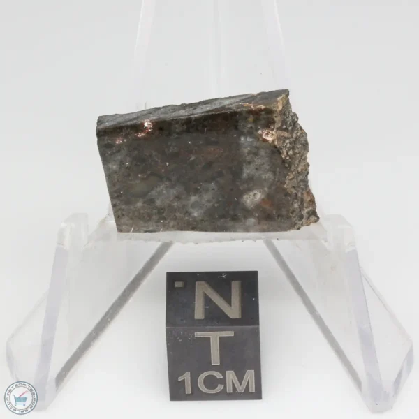 NWA 14041 Lunar Meteorite 3.09g